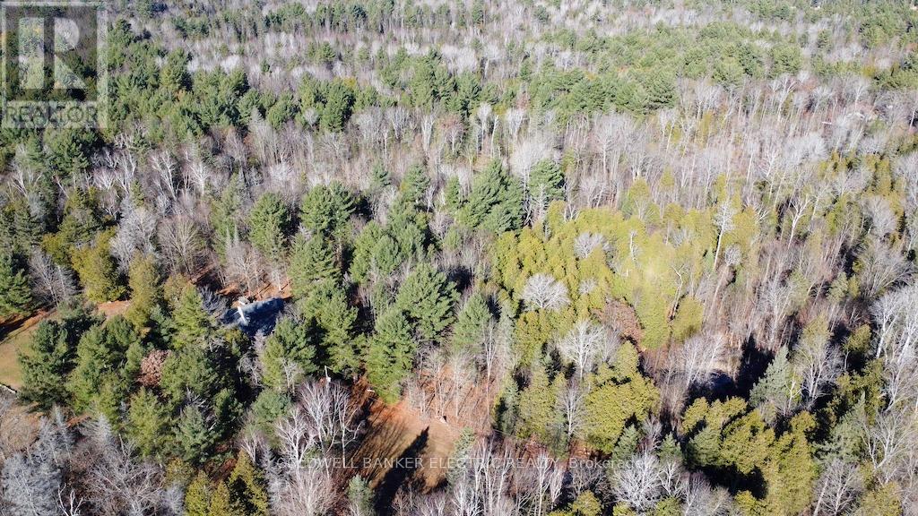 7050 Highway 28, North Kawartha, Ontario  K0L 1A0 - Photo 34 - X12085812