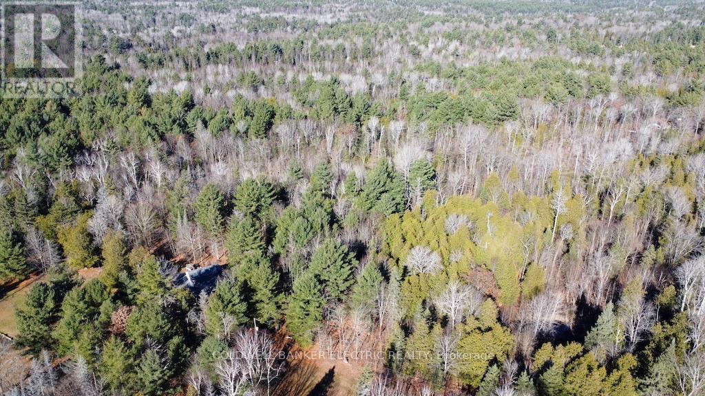 7050 Highway 28, North Kawartha, Ontario  K0L 1A0 - Photo 35 - X12085812