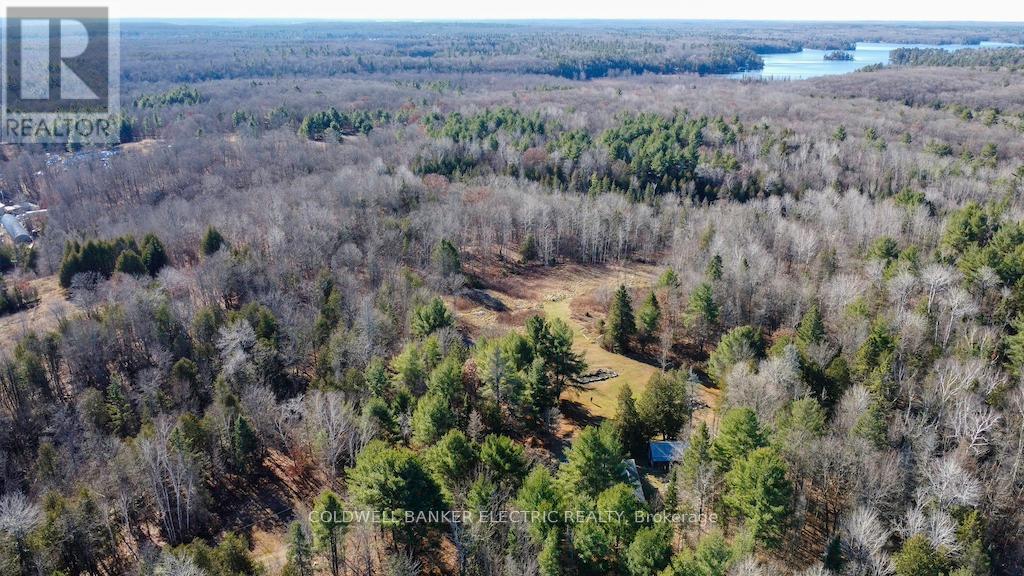 7050 Highway 28, North Kawartha, Ontario  K0L 1A0 - Photo 4 - X12085812