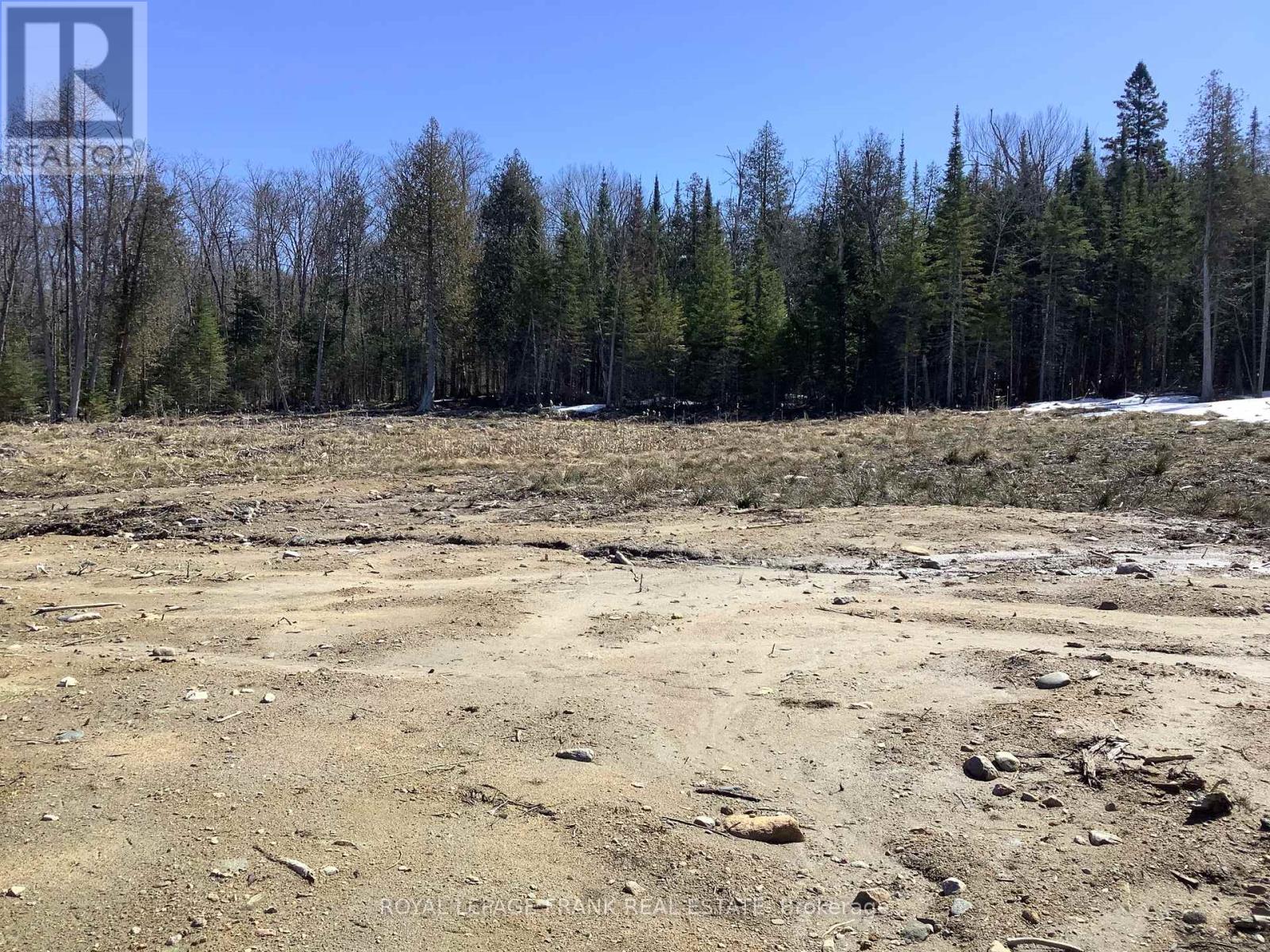 20833 Hwy 118, Highlands East (Cardiff Ward), Ontario  K0L 3C0 - Photo 3 - X12087482