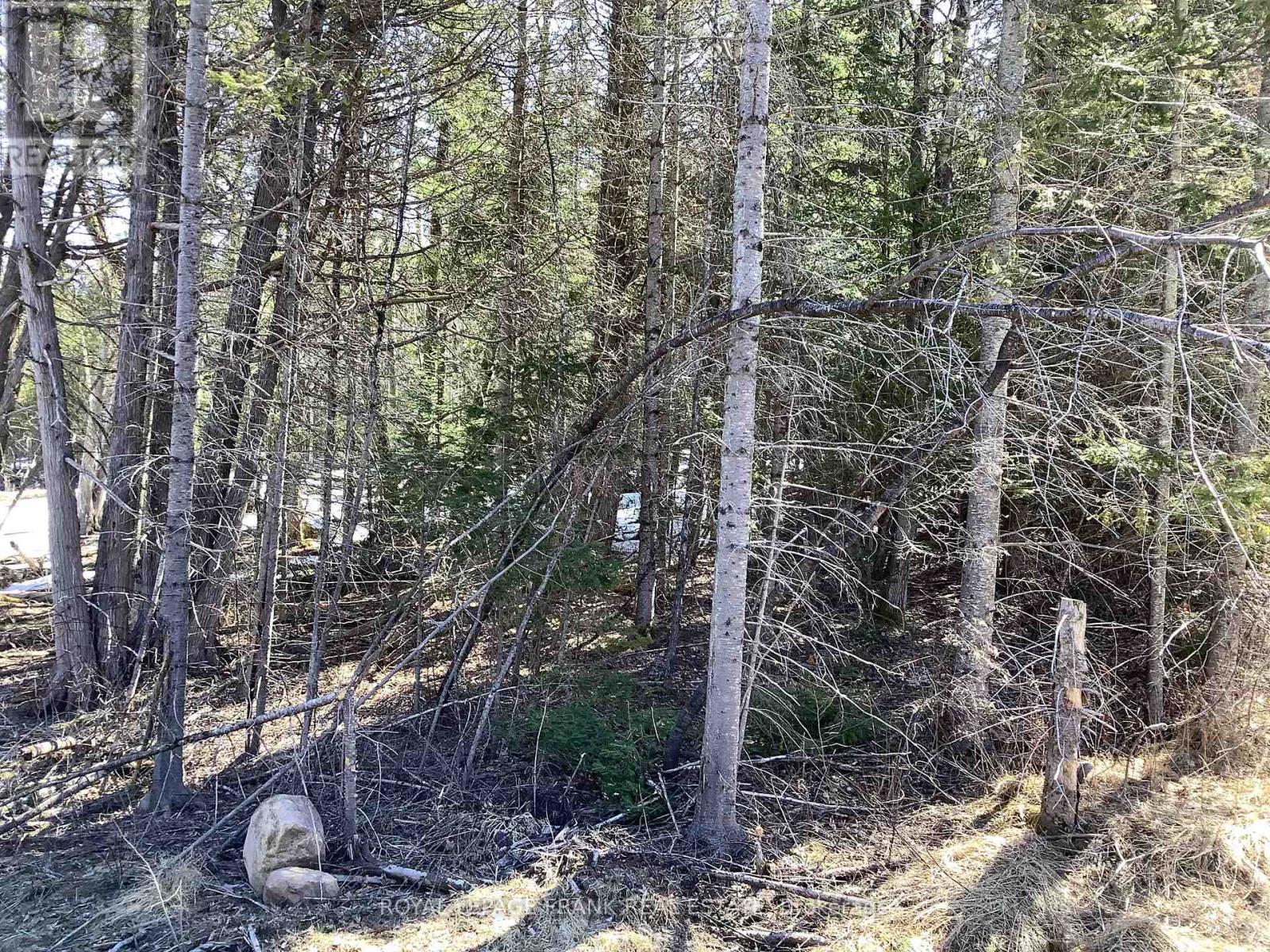 20833 Hwy 118, Highlands East (Cardiff Ward), Ontario  K0L 3C0 - Photo 4 - X12087482