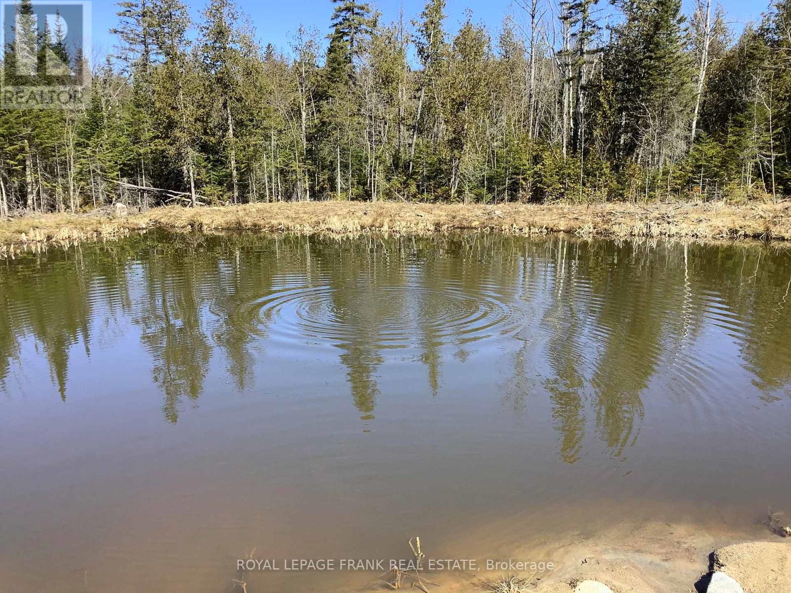 20833 Hwy 118, Highlands East (Cardiff Ward), Ontario  K0L 3C0 - Photo 5 - X12087482