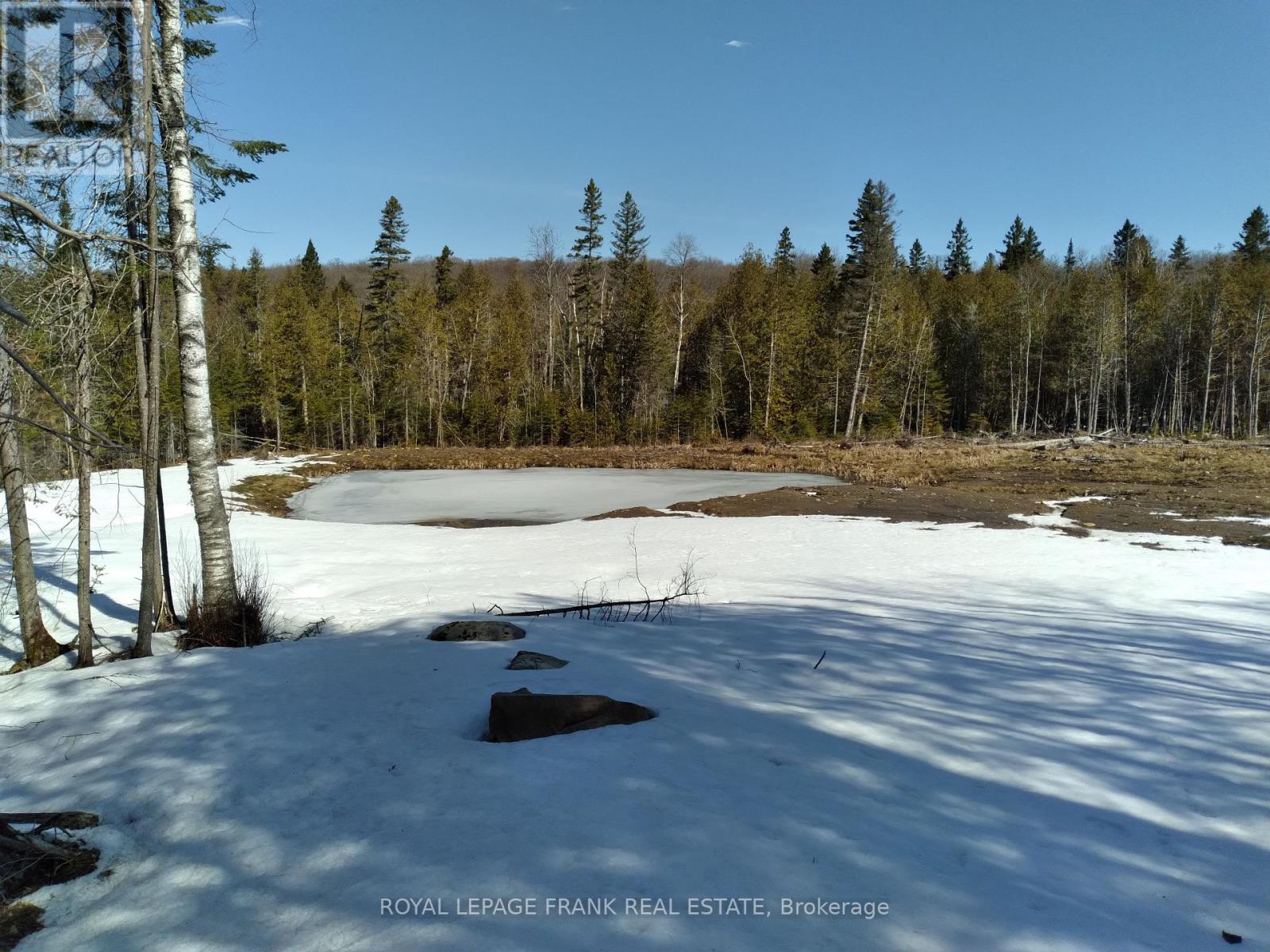 20833 Hwy 118, Highlands East (Cardiff Ward), Ontario  K0L 3C0 - Photo 7 - X12087482