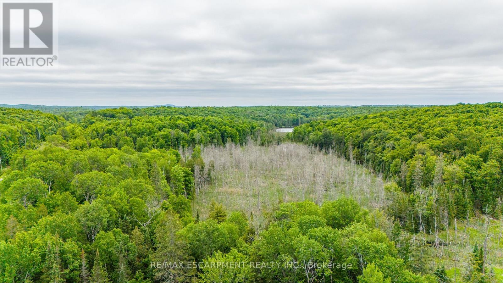 12407 County Road 503, Highlands East (Monmouth), Ontario  K0L 2Y0 - Photo 41 - X12087774