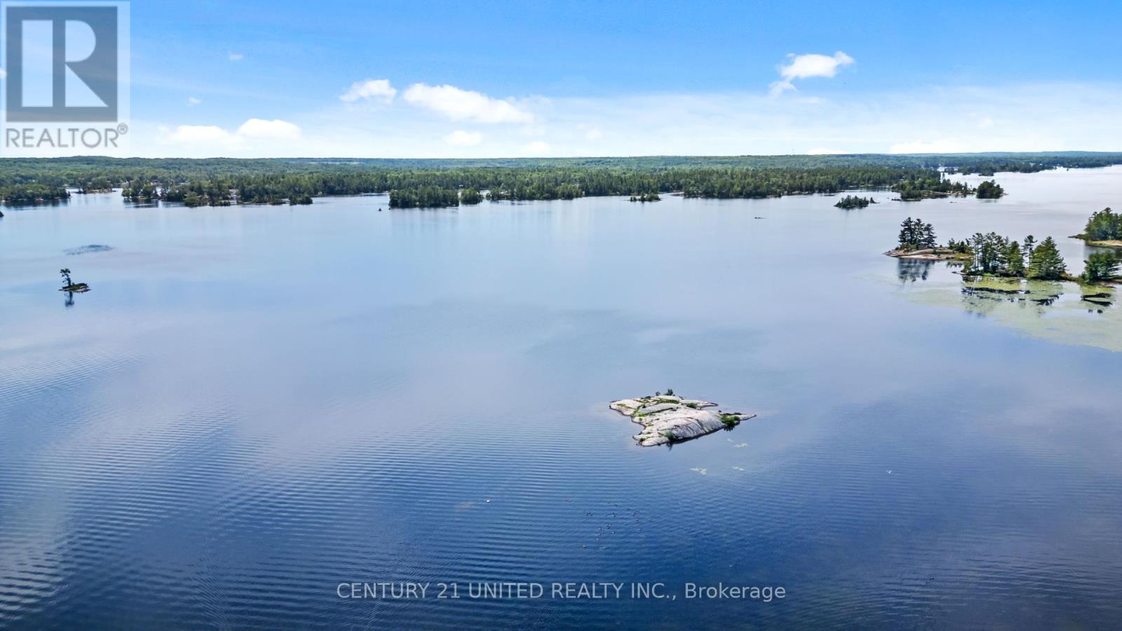149 Hull's Road, North Kawartha, Ontario  K0L 2H0 - Photo 29 - X12088196