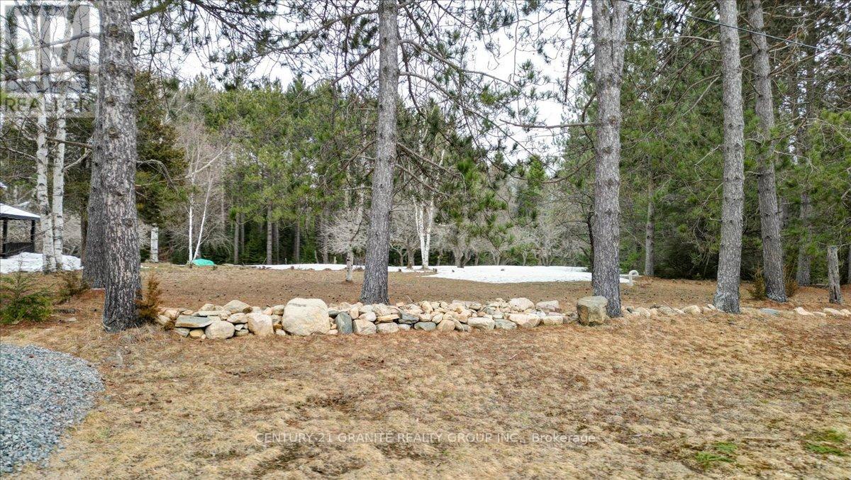 1548 Madawaska Road, Hastings Highlands (Wicklow Ward), Ontario  K0L 2K0 - Photo 34 - X12088552
