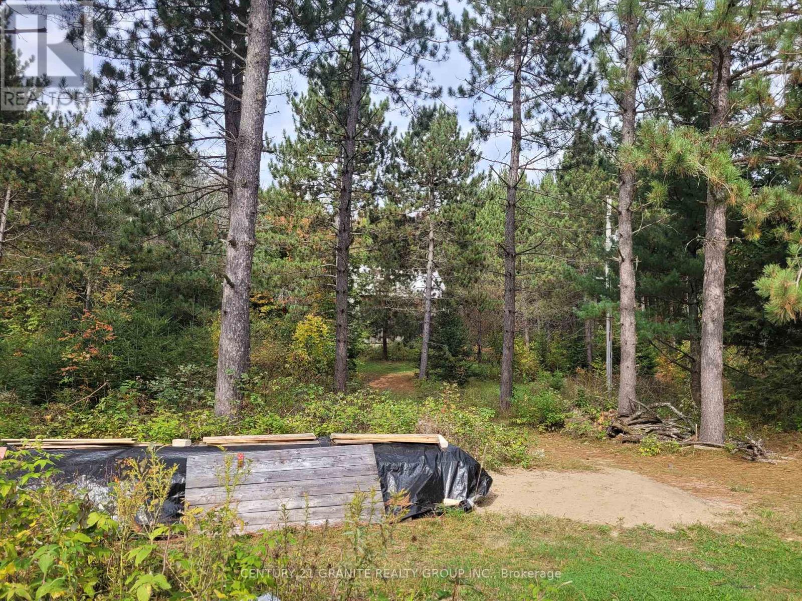 1548 Madawaska Road, Hastings Highlands (Wicklow Ward), Ontario  K0L 2K0 - Photo 43 - X12088552