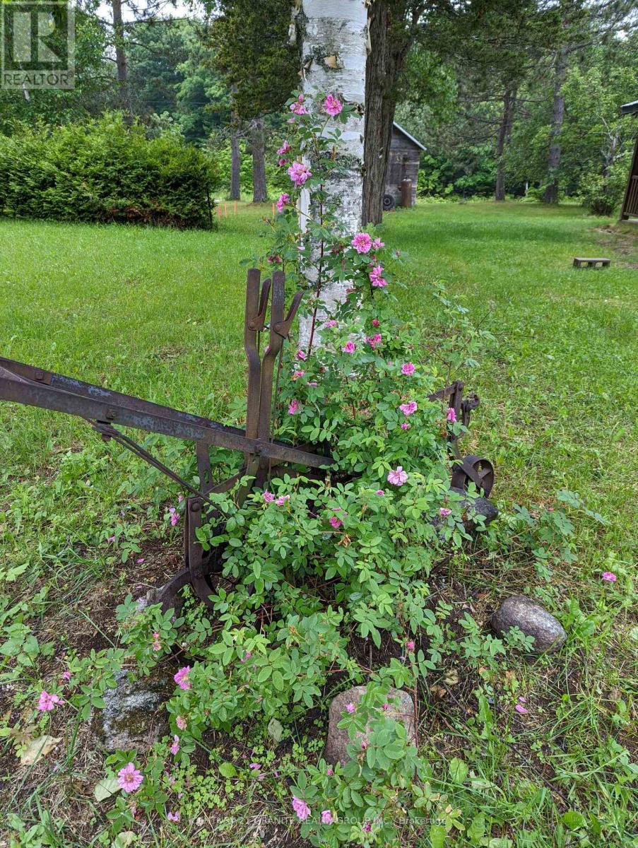 1548 Madawaska Road, Hastings Highlands (Wicklow Ward), Ontario  K0L 2K0 - Photo 47 - X12088552