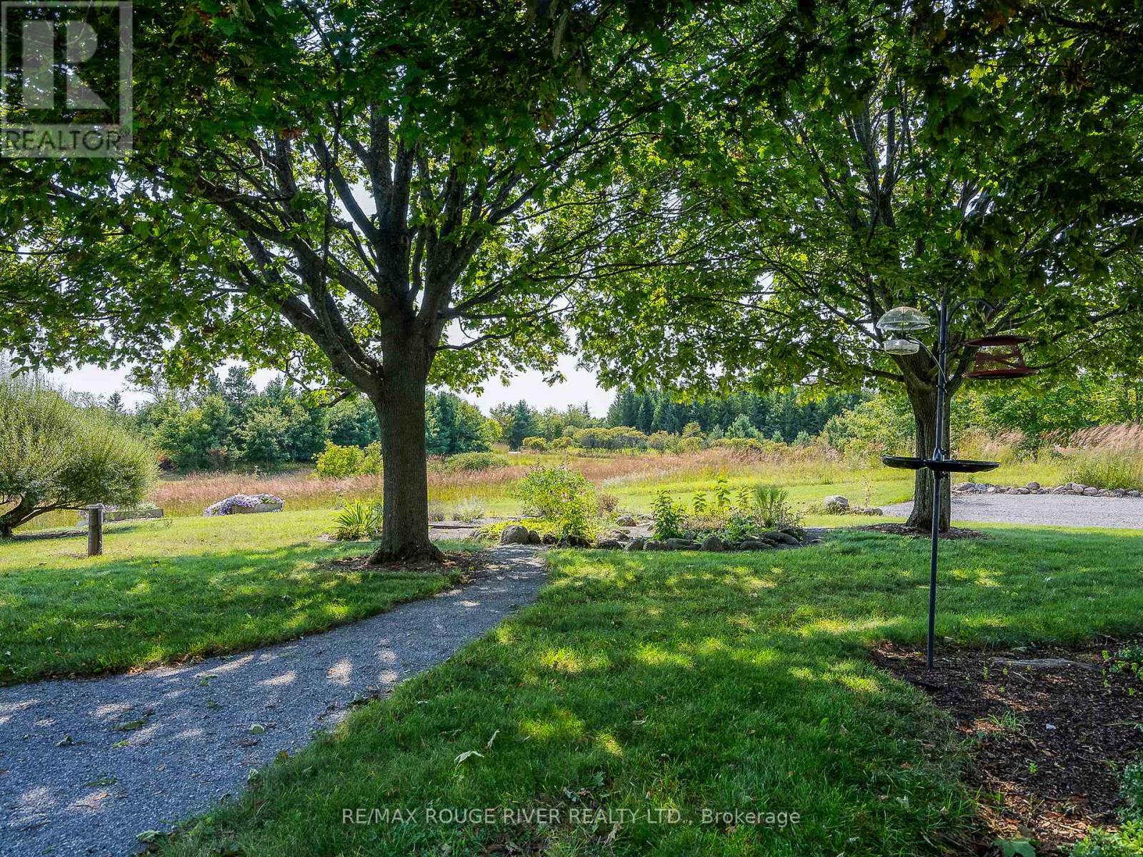 851 Ballyduff Road, Kawartha Lakes (Manvers), Ontario  L0A 1K0 - Photo 5 - X12088770