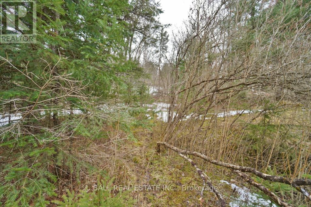0 Unopened Road Allowance, Faraday, Ontario  K0L 1C0 - Photo 3 - X12088778