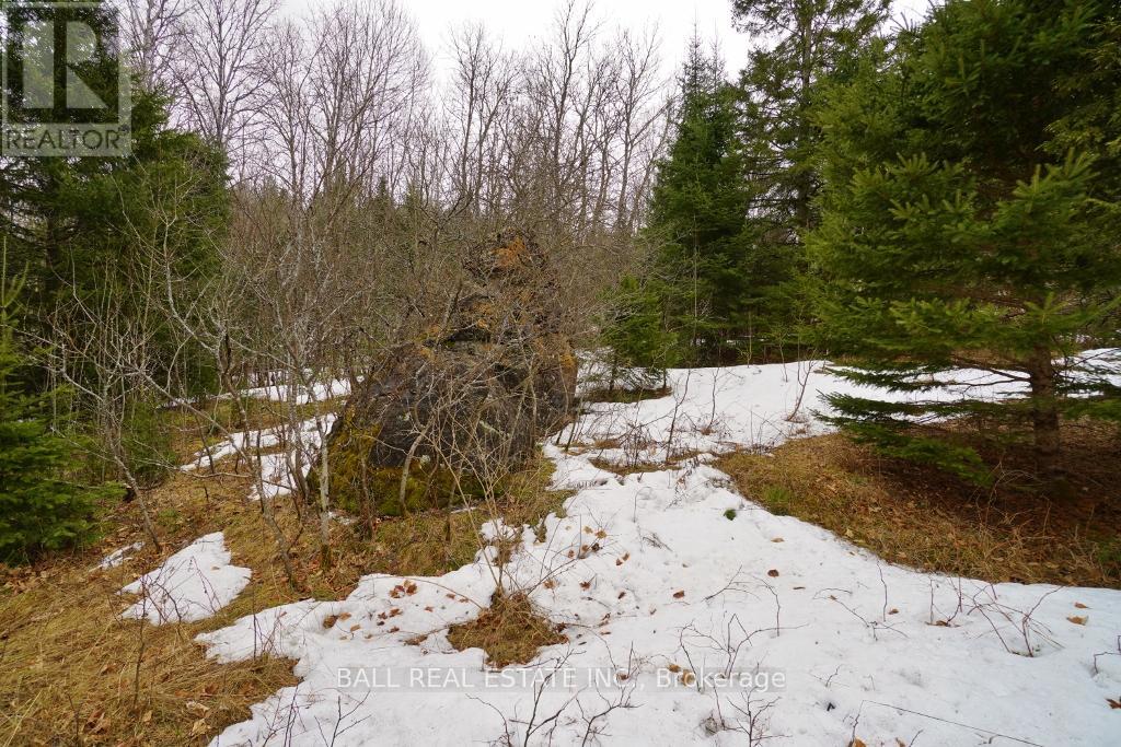 0 Unopened Road Allowance, Faraday, Ontario  K0L 1C0 - Photo 5 - X12088778
