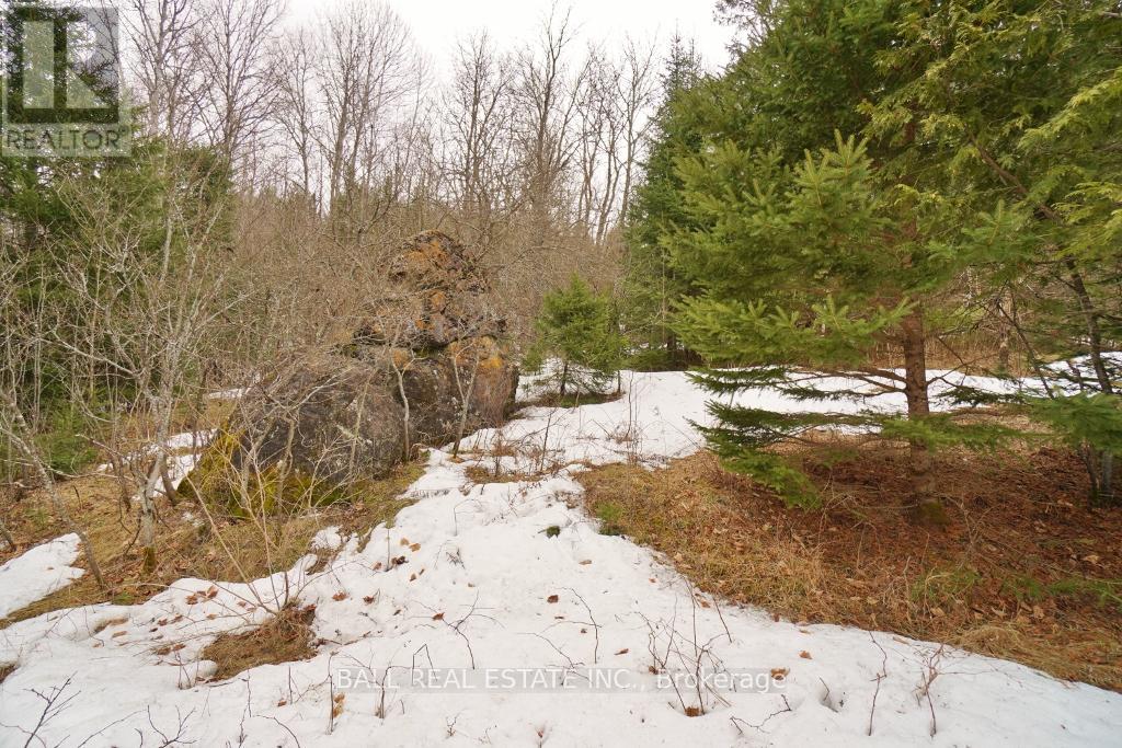 0 Unopened Road Allowance, Faraday, Ontario  K0L 1C0 - Photo 6 - X12088778