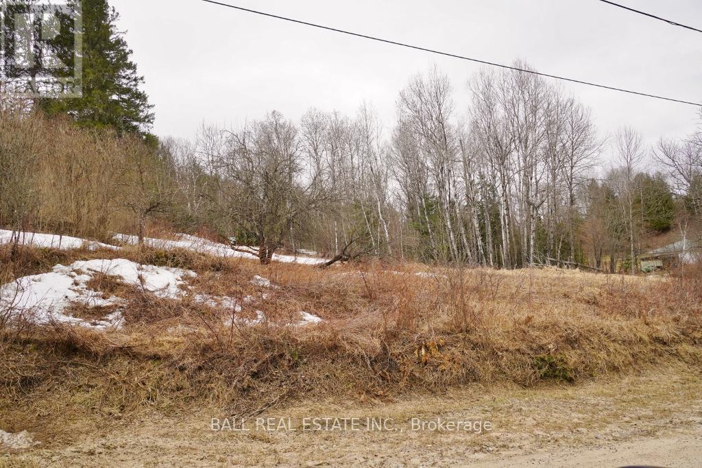 00 Old L'amable  Road, Bancroft (Dungannon Ward), Ontario  K0L 1C0 - Photo 3 - X12088867
