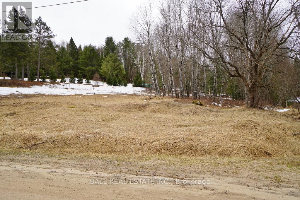 00 Old L'amable  Road, Bancroft (Dungannon Ward), Ontario  K0L 1C0 - Photo 4 - X12088867