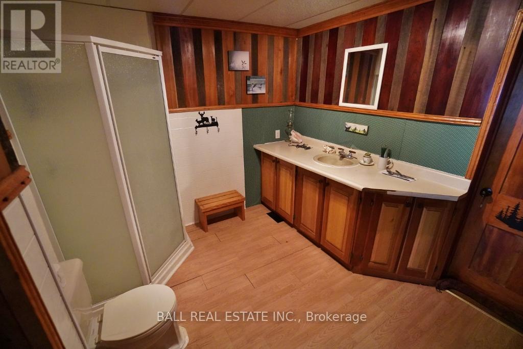 145 Old L'amable Road, Bancroft (Dungannon Ward), Ontario  K0L 1C0 - Photo 19 - X12089426