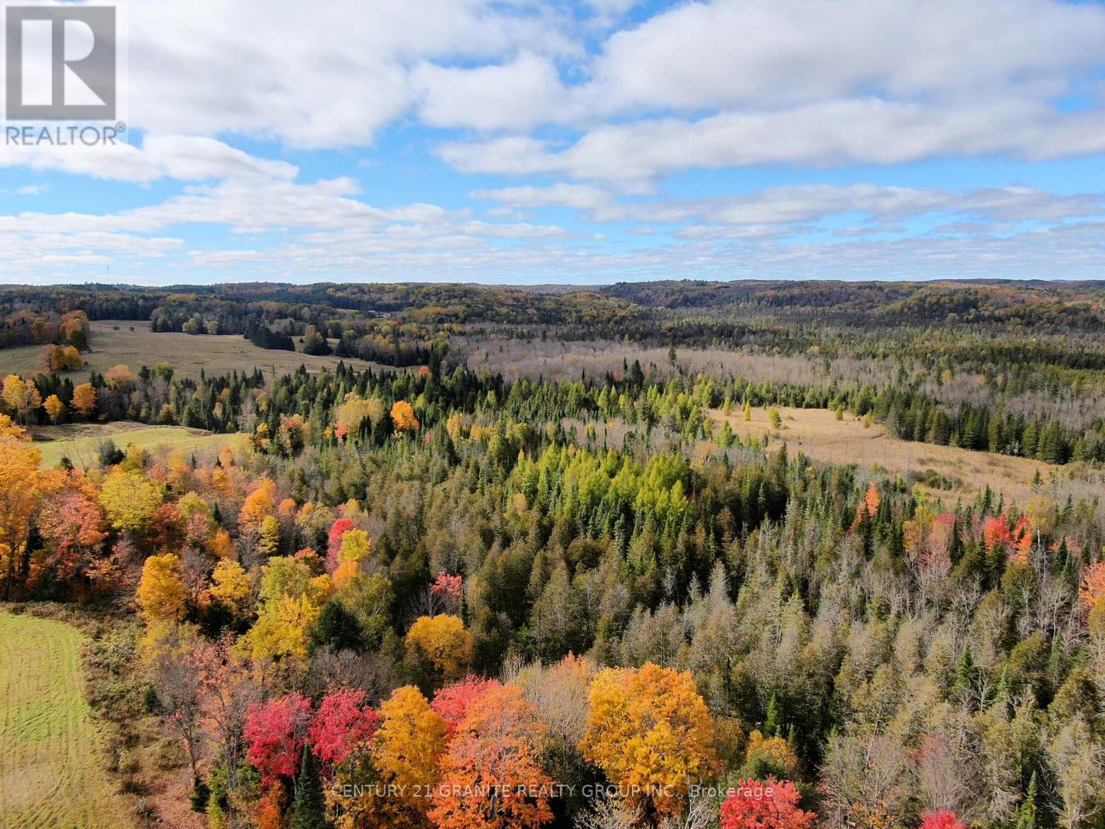 649 Detlor Road, Bancroft (Dungannon Ward), Ontario  K0L 2L0 - Photo 10 - X12089783