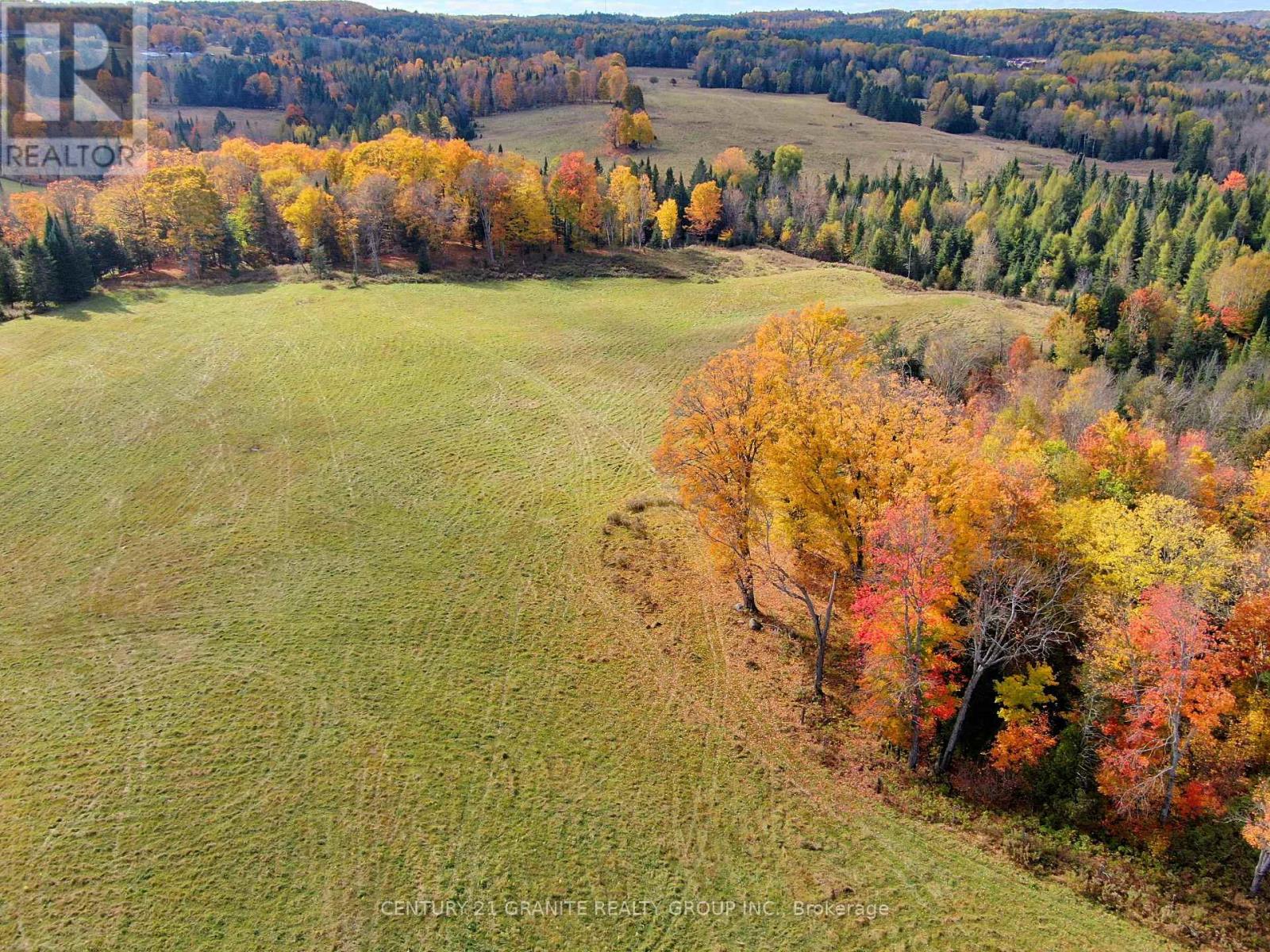 649 Detlor Road, Bancroft (Dungannon Ward), Ontario  K0L 2L0 - Photo 13 - X12089783