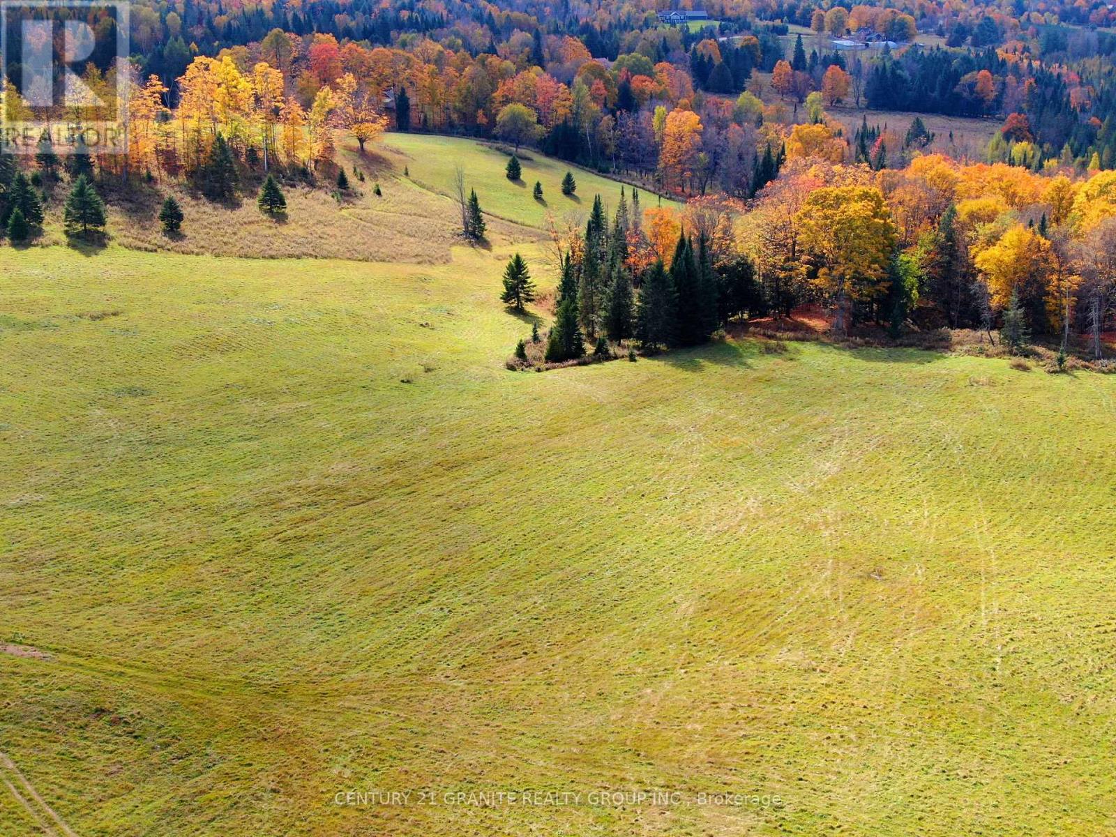 649 Detlor Road, Bancroft (Dungannon Ward), Ontario  K0L 2L0 - Photo 14 - X12089783