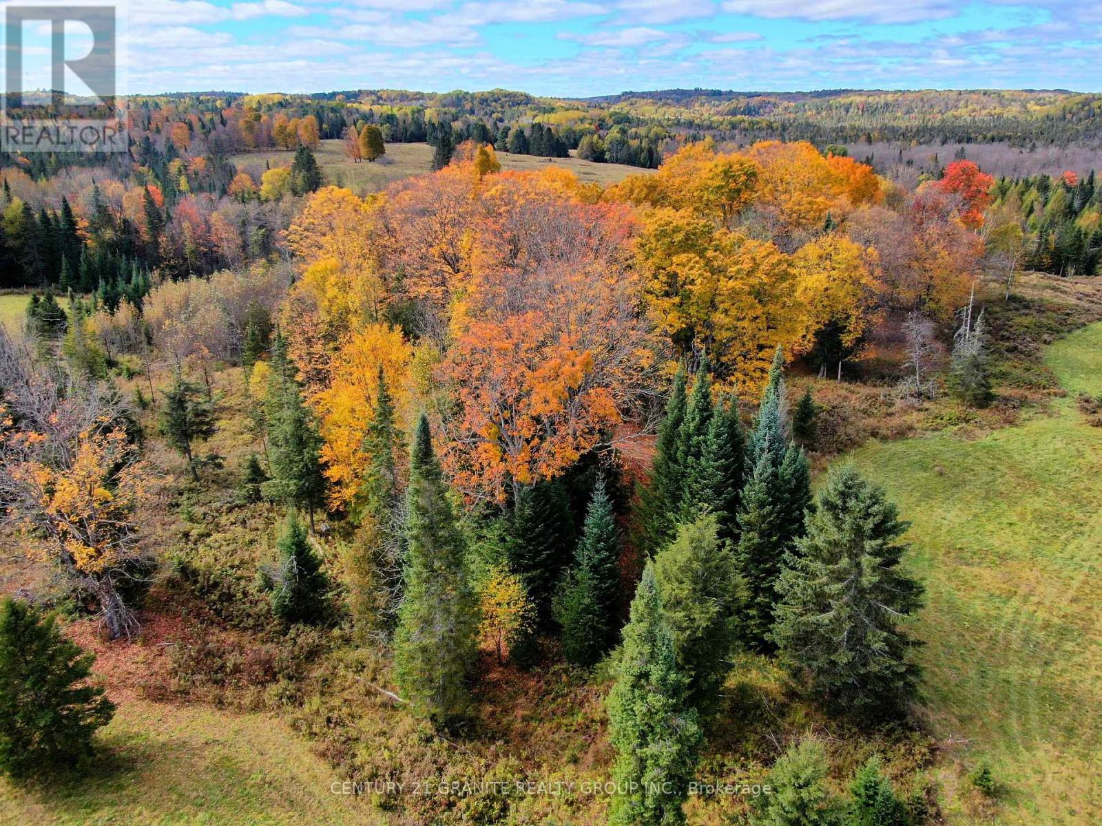 649 Detlor Road, Bancroft (Dungannon Ward), Ontario  K0L 2L0 - Photo 17 - X12089783