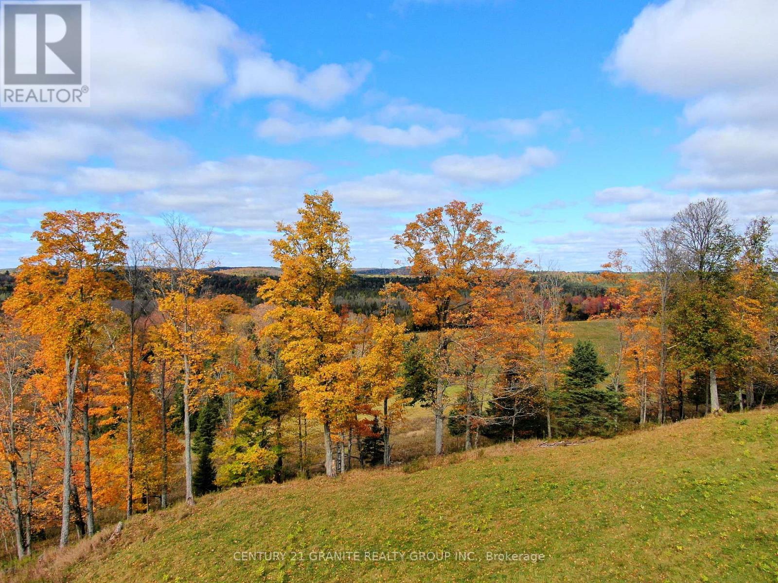 649 Detlor Road, Bancroft (Dungannon Ward), Ontario  K0L 2L0 - Photo 19 - X12089783