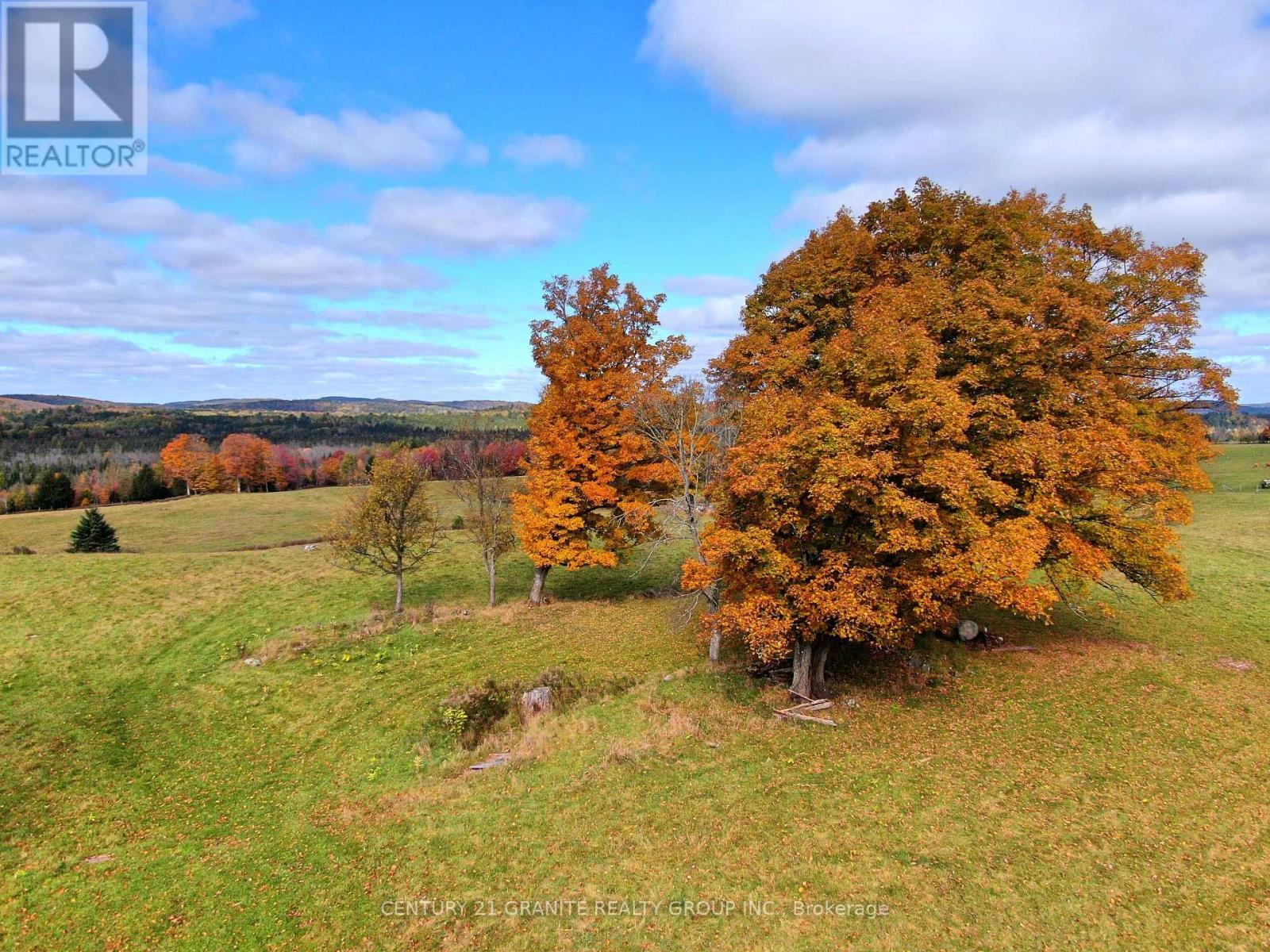 649 Detlor Road, Bancroft (Dungannon Ward), Ontario  K0L 2L0 - Photo 20 - X12089783