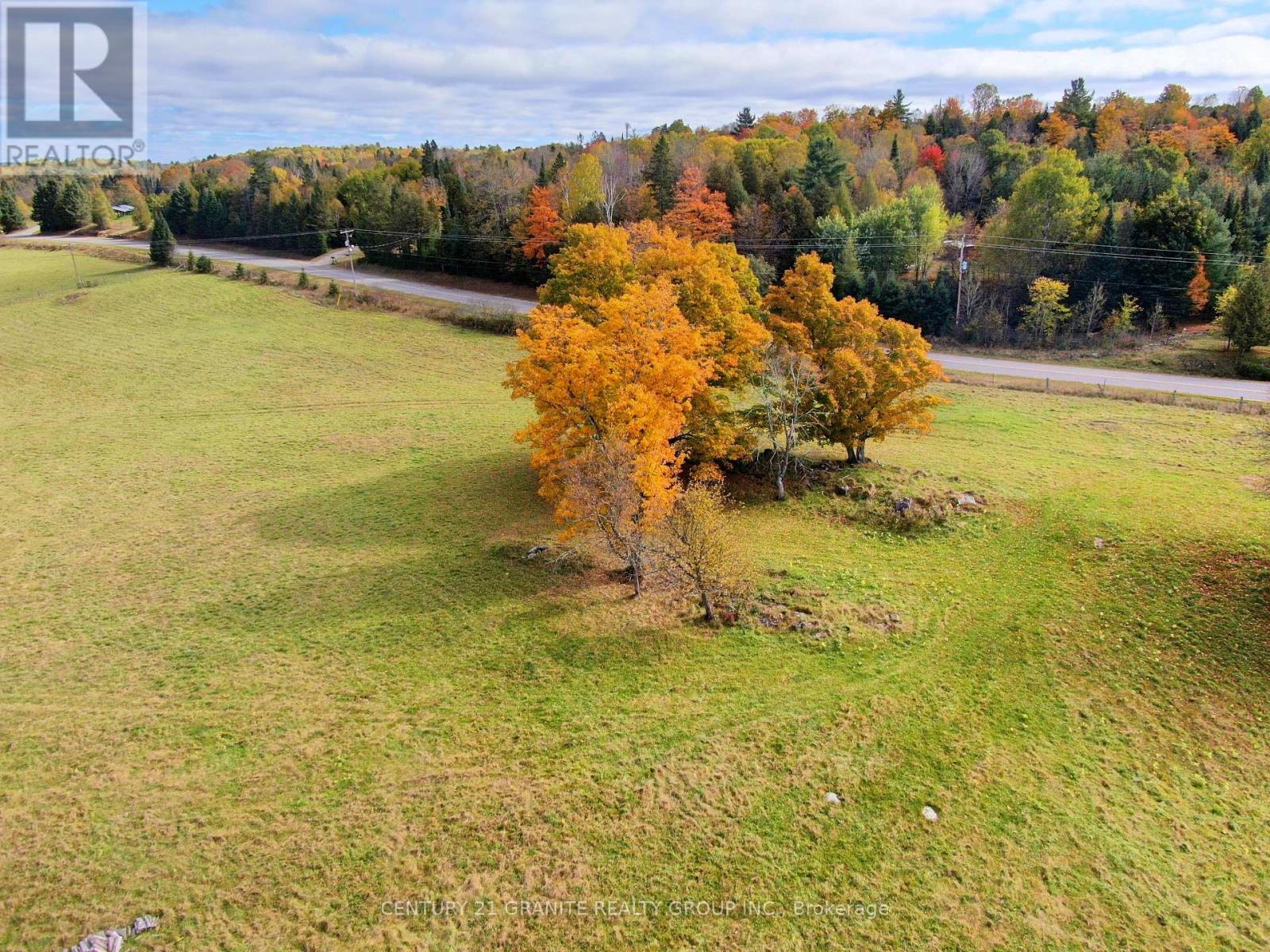 649 Detlor Road, Bancroft (Dungannon Ward), Ontario  K0L 2L0 - Photo 4 - X12089783