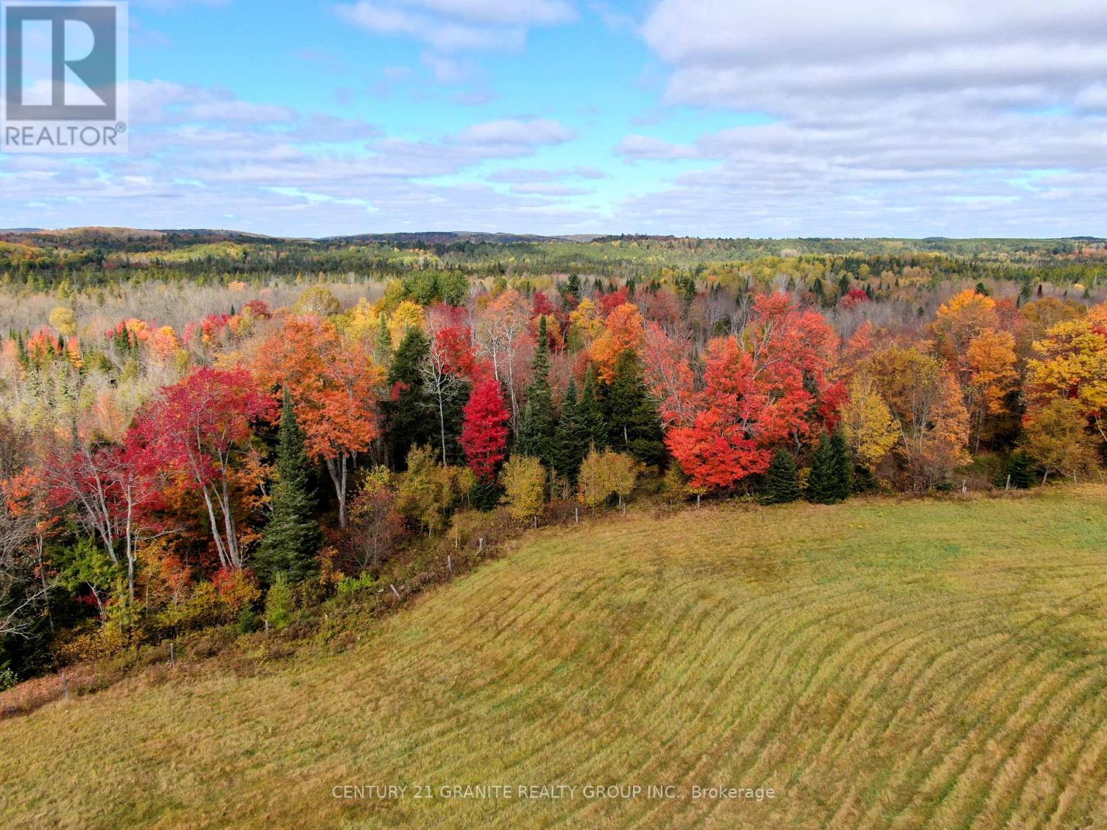 649 Detlor Road, Bancroft (Dungannon Ward), Ontario  K0L 2L0 - Photo 6 - X12089783