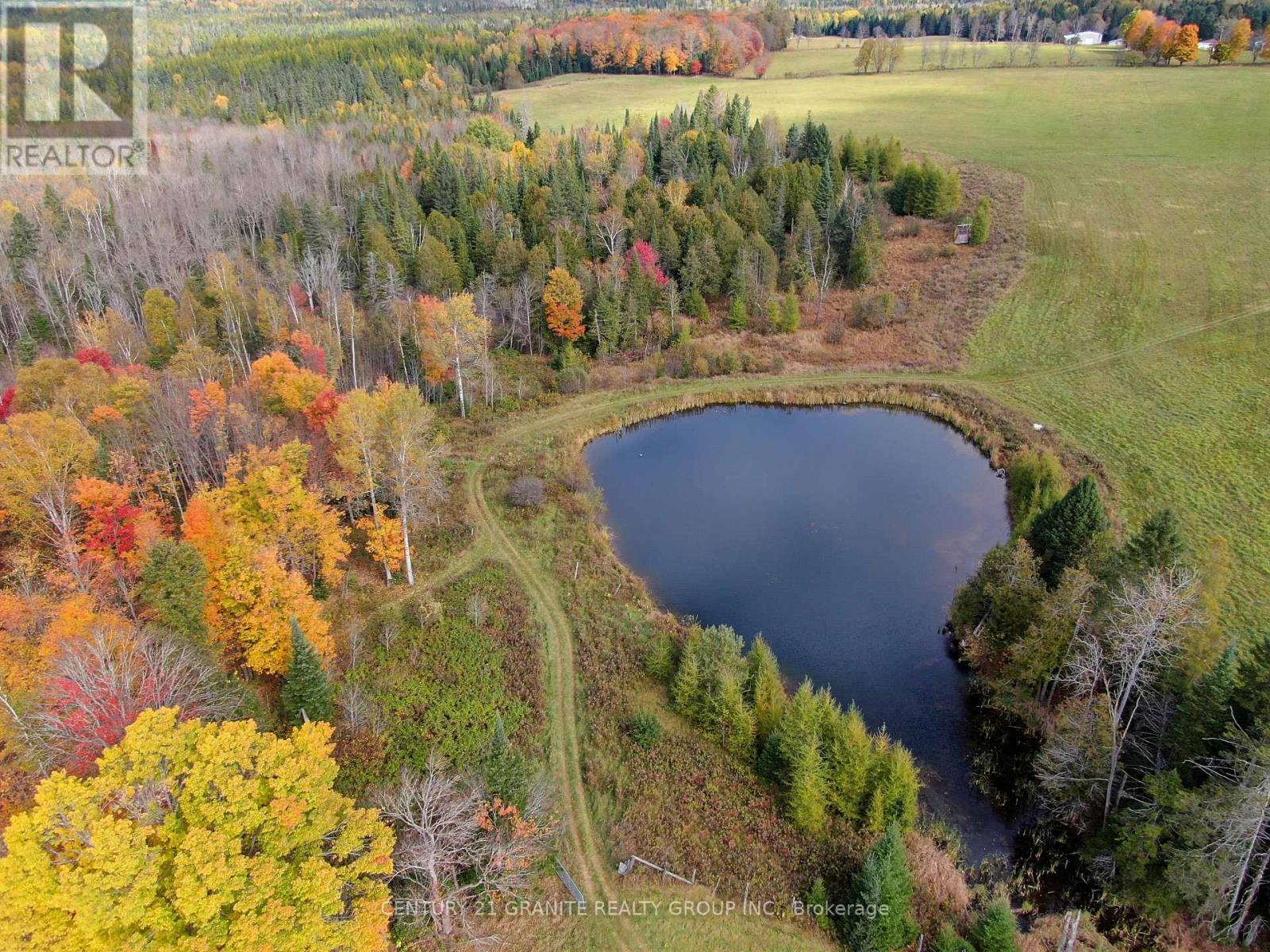 649 Detlor Road, Bancroft (Dungannon Ward), Ontario  K0L 2L0 - Photo 8 - X12089783