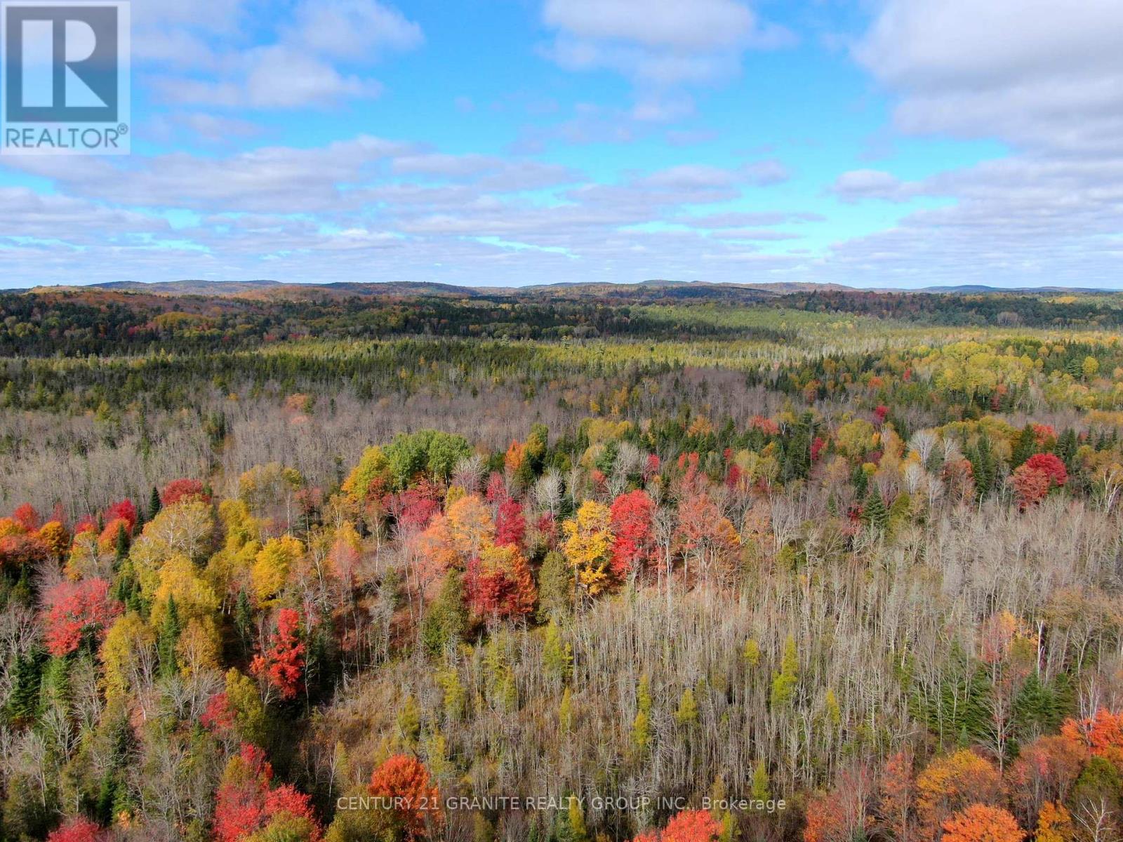 649 Detlor Road, Bancroft (Dungannon Ward), Ontario  K0L 2L0 - Photo 9 - X12089783