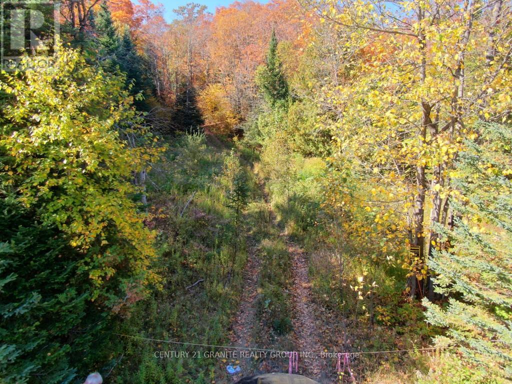 CON EHR PT LOT 25 M-25 LOT 4, bancroft (dungannon ward), Ontario