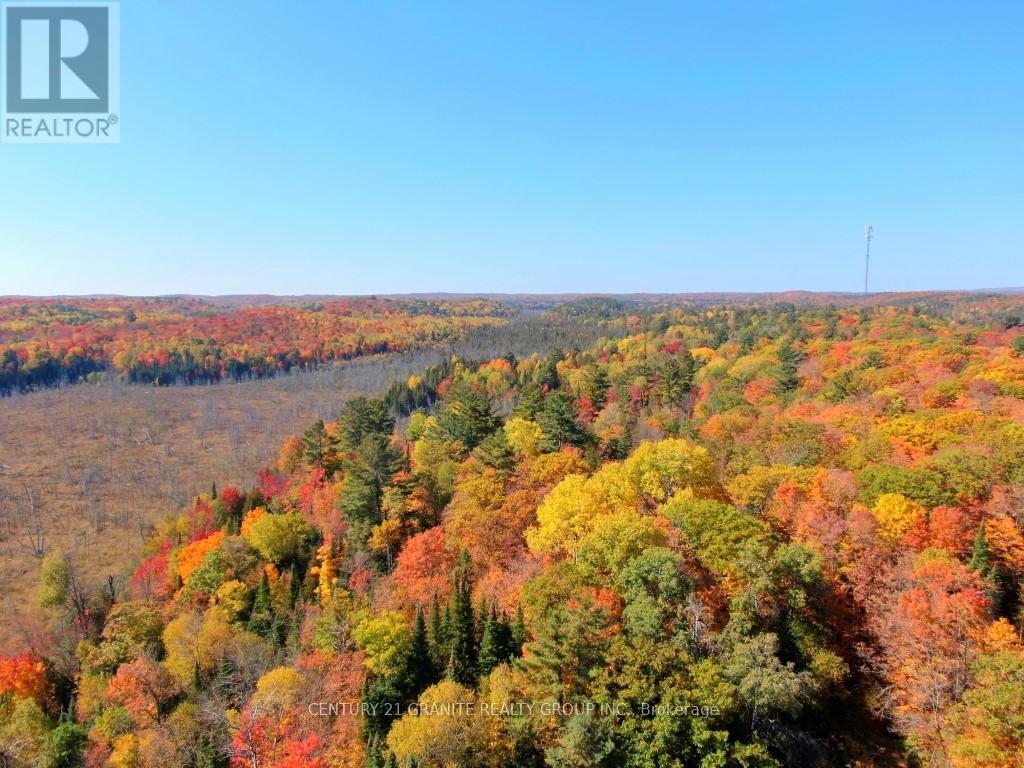 Con Ehr Pt Lot 25 M-25 Lot 4, Bancroft (Dungannon Ward), Ontario  K0L 1C0 - Photo 10 - X12089962