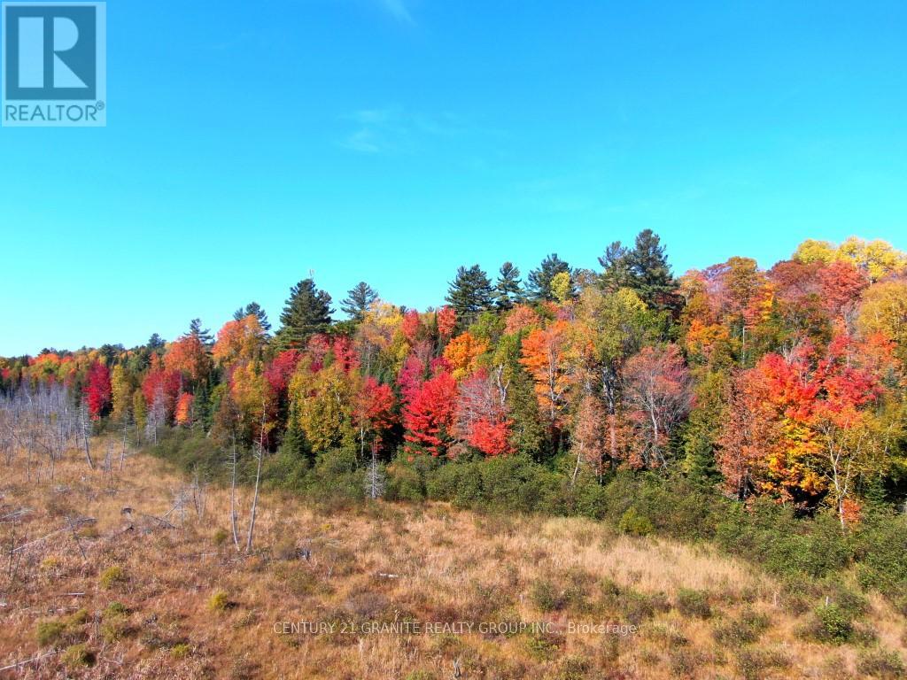 Con Ehr Pt Lot 25 M-25 Lot 4, Bancroft (Dungannon Ward), Ontario  K0L 1C0 - Photo 11 - X12089962