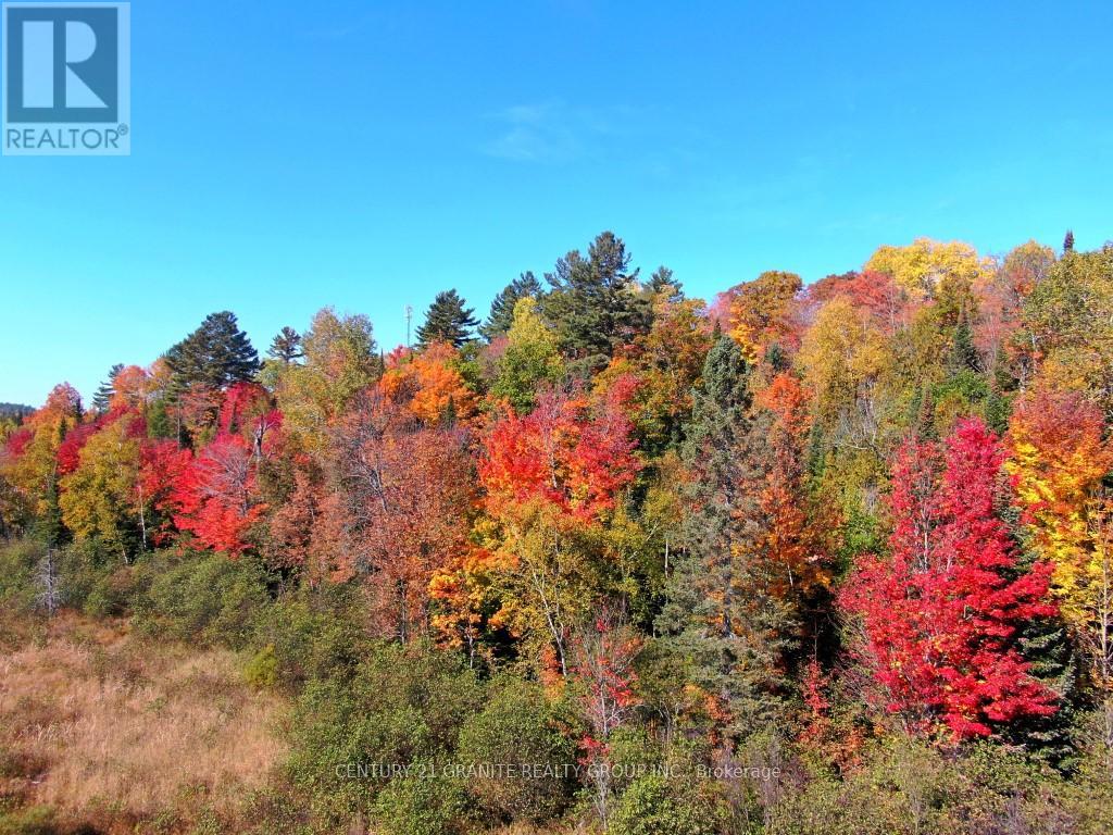 Con Ehr Pt Lot 25 M-25 Lot 4, Bancroft (Dungannon Ward), Ontario  K0L 1C0 - Photo 12 - X12089962