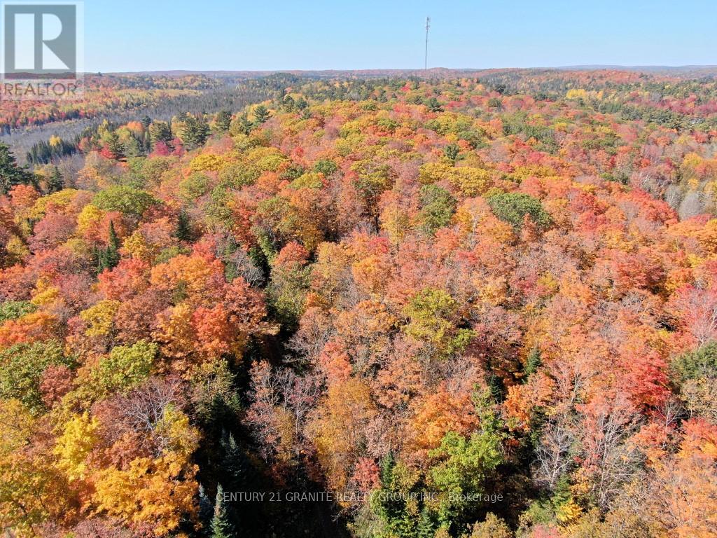 Con Ehr Pt Lot 25 M-25 Lot 4, Bancroft (Dungannon Ward), Ontario  K0L 1C0 - Photo 2 - X12089962