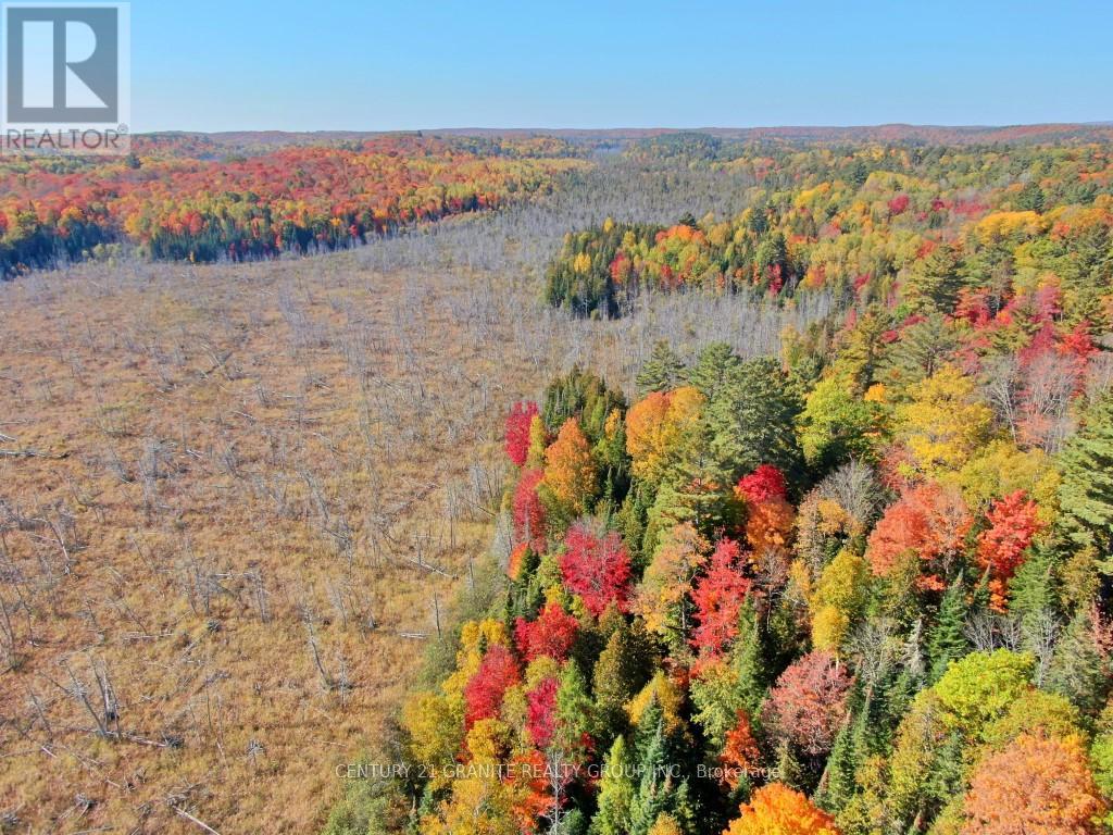 Con Ehr Pt Lot 25 M-25 Lot 4, Bancroft (Dungannon Ward), Ontario  K0L 1C0 - Photo 4 - X12089962
