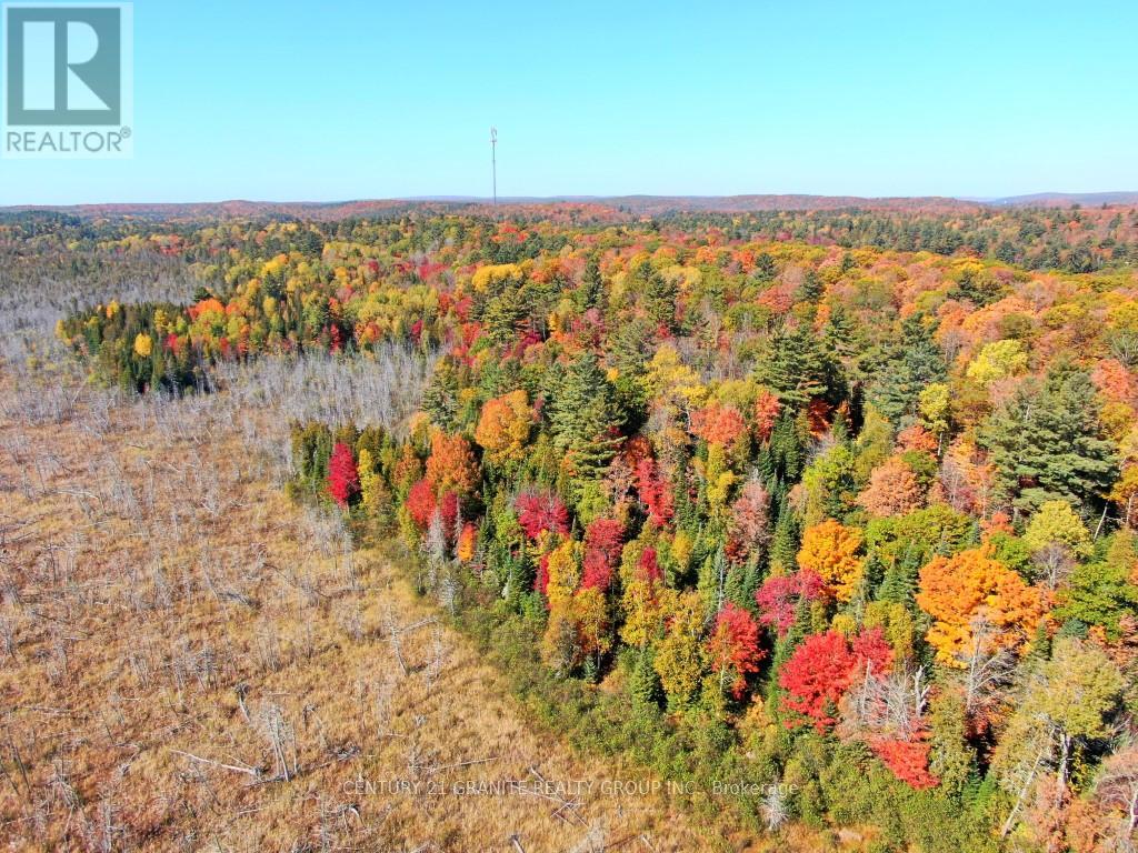 Con Ehr Pt Lot 25 M-25 Lot 4, Bancroft (Dungannon Ward), Ontario  K0L 1C0 - Photo 5 - X12089962