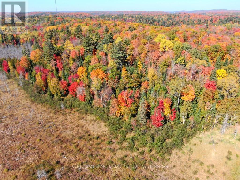 Con Ehr Pt Lot 25 M-25 Lot 4, Bancroft (Dungannon Ward), Ontario  K0L 1C0 - Photo 6 - X12089962