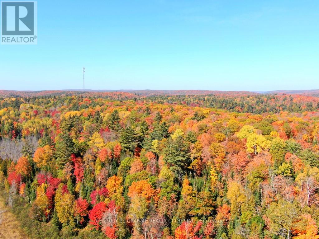 Con Ehr Pt Lot 25 M-25 Lot 4, Bancroft (Dungannon Ward), Ontario  K0L 1C0 - Photo 8 - X12089962