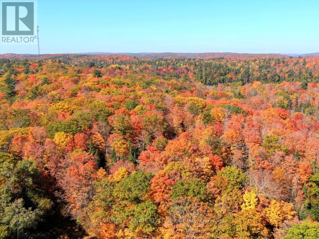 Con Ehr Pt Lot 25 M-25 Lot 4, Bancroft (Dungannon Ward), Ontario  K0L 1C0 - Photo 9 - X12089962