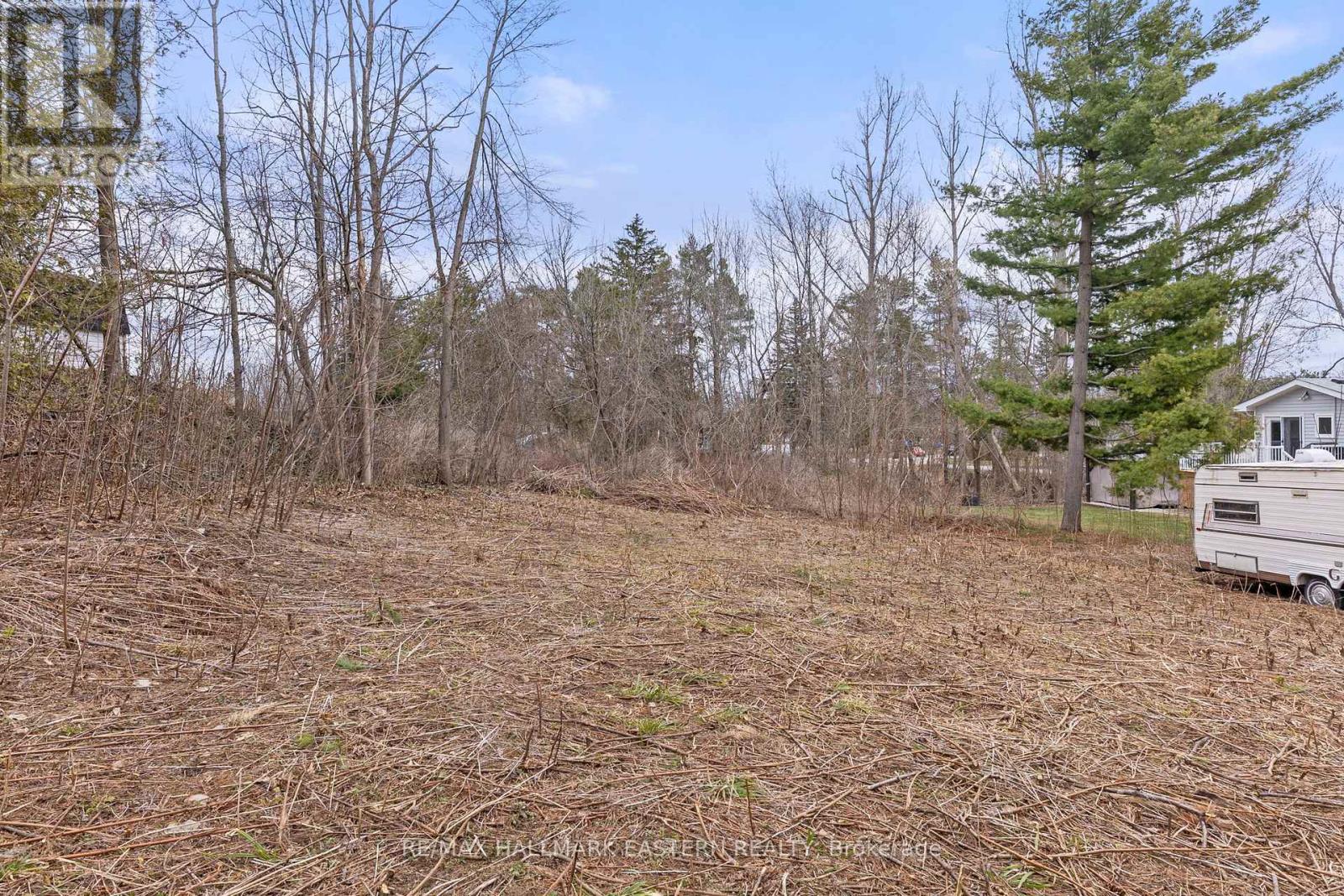 4 Killarney Road, Selwyn, Ontario  K0L 1T0 - Photo 10 - X12091648