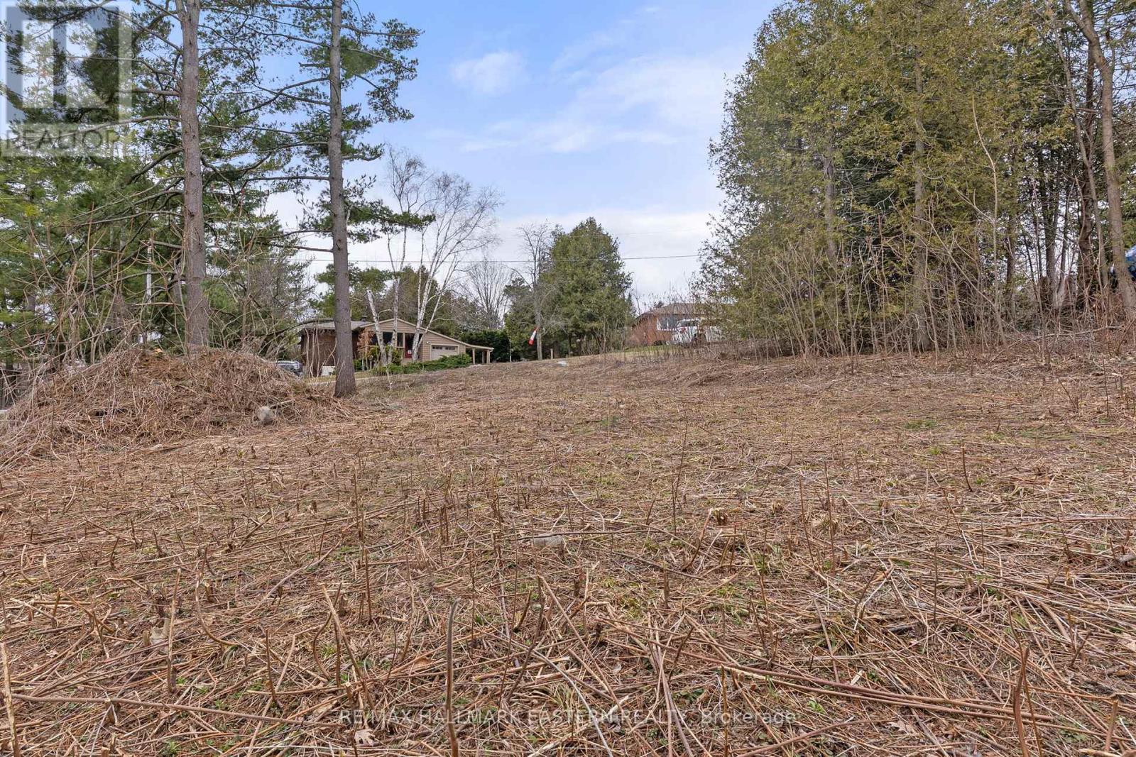 4 Killarney Road, Selwyn, Ontario  K0L 1T0 - Photo 11 - X12091648