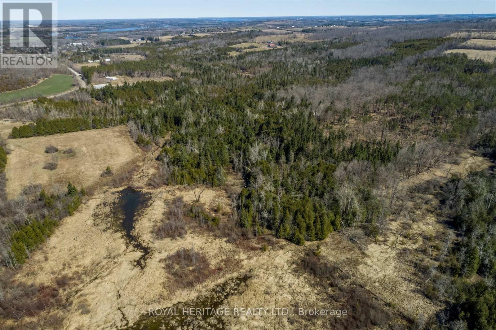 306 Mount Nebe Road, Kawartha Lakes (Emily), Ontario  K0L 2W0 - Photo 38 - X12093089
