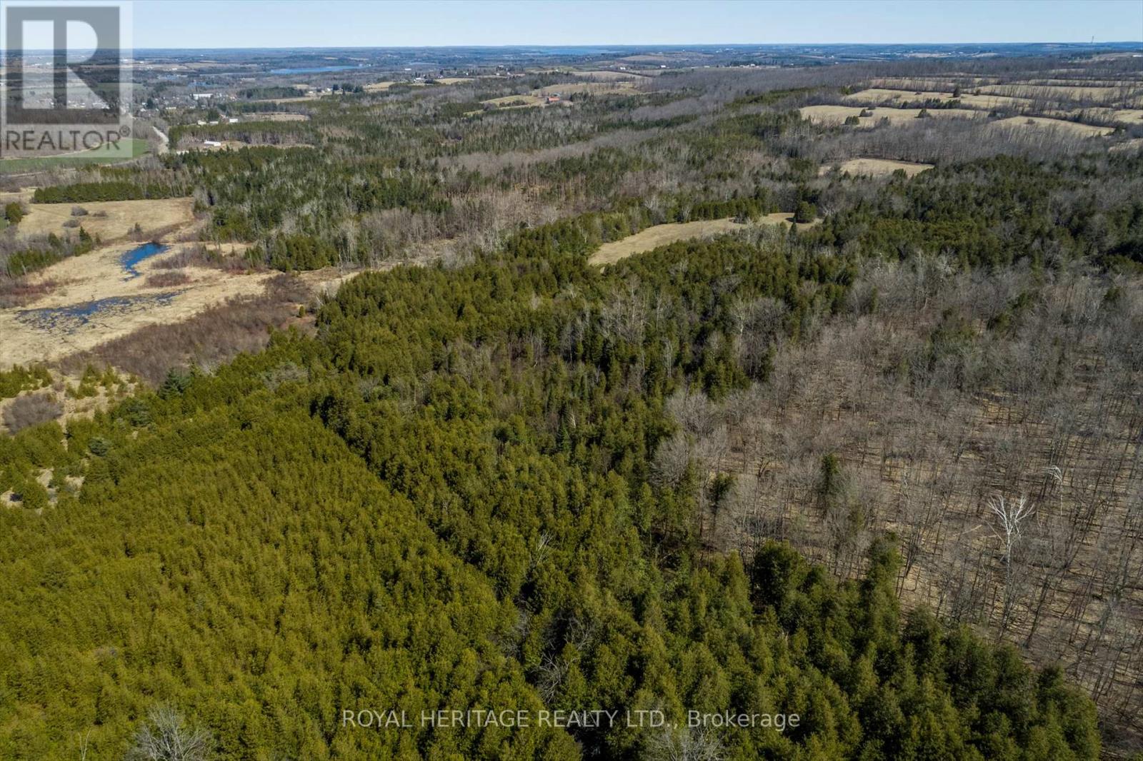 306 Mount Nebe Road, Kawartha Lakes (Emily), Ontario  K0L 2W0 - Photo 39 - X12093089