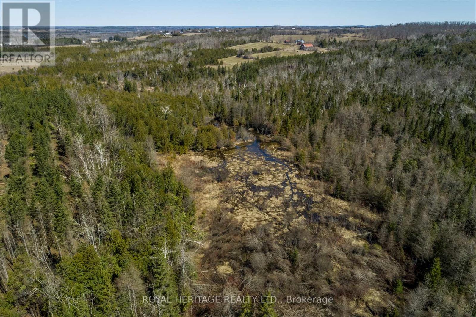 306 Mount Nebe Road, Kawartha Lakes (Emily), Ontario  K0L 2W0 - Photo 49 - X12093089