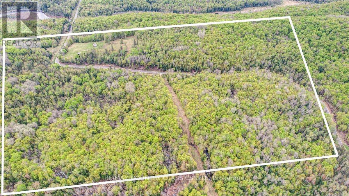 1908 Lower Faraday Road, Faraday, Ontario  K0L 1C0 - Photo 39 - X12093534