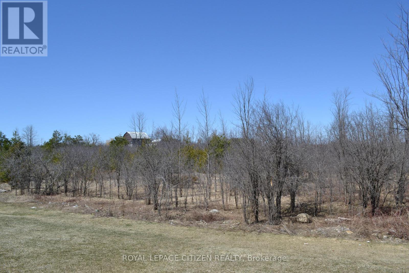 41 Carew Boulevard, Kawartha Lakes (Ops), Ontario  K9V 0P7 - Photo 20 - X12094106