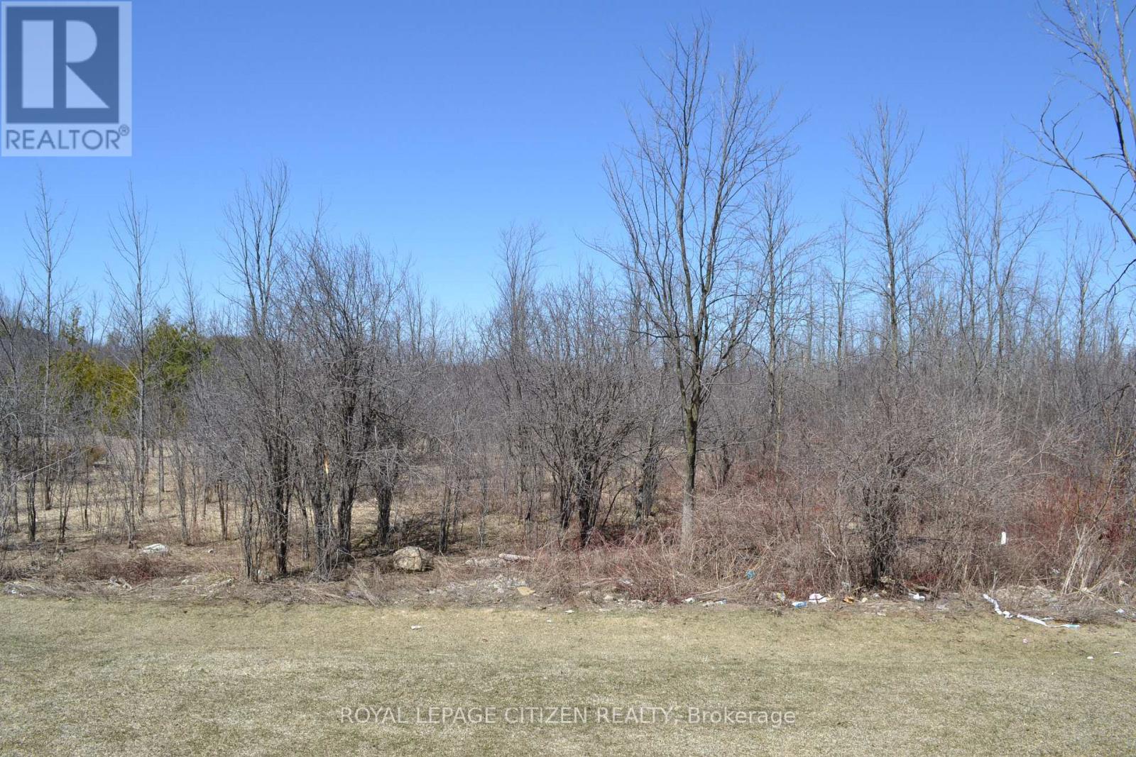 41 Carew Boulevard, Kawartha Lakes (Ops), Ontario  K9V 0P7 - Photo 21 - X12094106