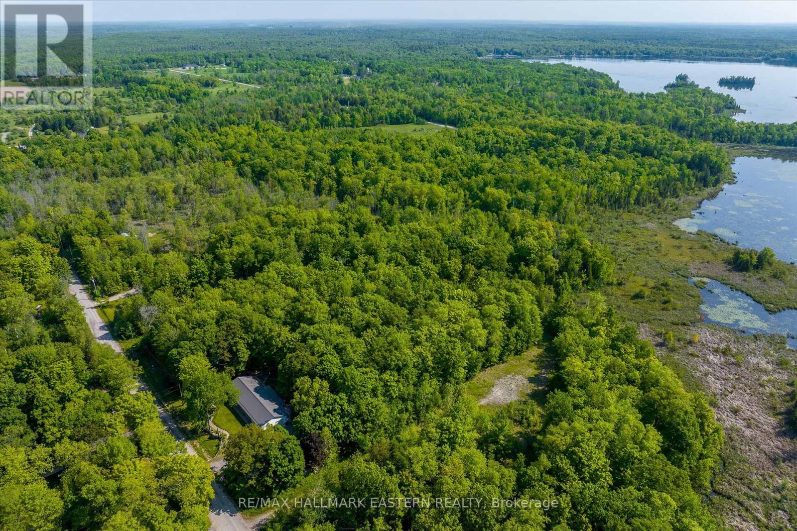 189 Cedarshores Drive, Trent Hills, Ontario  K0L 1Z0 - Photo 5 - X12094771