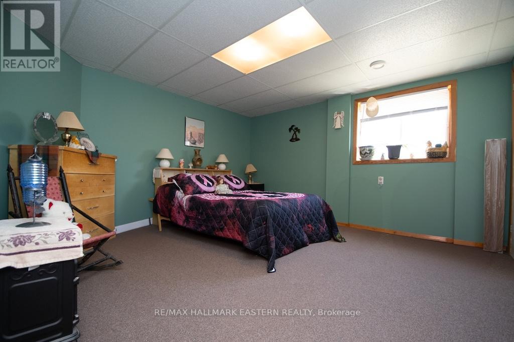 4018 County Road 36, Trent Lakes, Ontario  K0L 1J0 - Photo 21 - X12096864