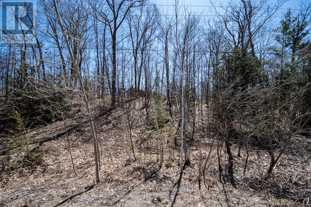 4018 County Road 36, Trent Lakes, Ontario  K0L 1J0 - Photo 31 - X12096864